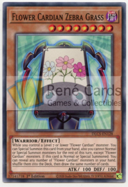 Flower Cardian Zebra Grass - 1st. Edition - DLCS-EN128