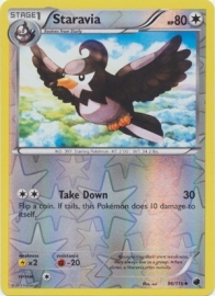 Staravia - PlasFree - 96/116 - Reverse