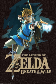 The Legend Of Zelda - Breath Of The Wild (028)