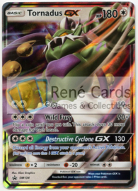 Tornadus GX - SM134 -  Tornadus-GX Box