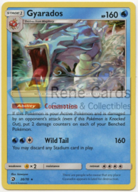 Gyarados - S&M DraMaj  20/70