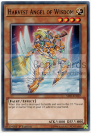 Harvest Angel of Wisdom - 1st Edition - SR05-EN007