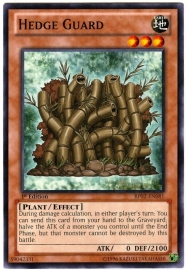 Hedge Guard - 1st Edition - BP02-EN081