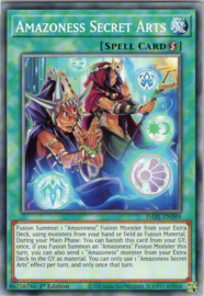 Amazoness Secret Arts - 1st. Edition - DABL-EN099