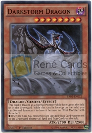 Darkstorm Dragon - 1st Edition - SR02-EN012