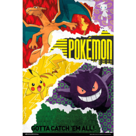 Pokémon - Gotta Catch Them All (061)