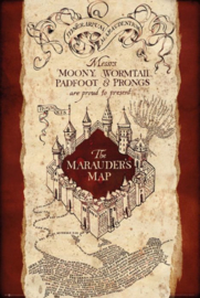 Harry Potter - The Marauder's Map (060)