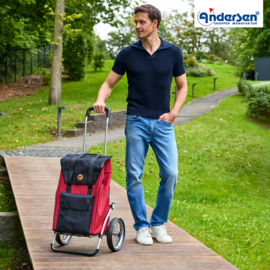 Boodschappenwagen met grote wielen met metalen spaken, Royal Shopper Senta 2.0 rood
