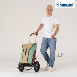 Boodschappenwagen met extra grote luchtbanden van 29 cm, Royal Shopper Oli.P 2.0 beige