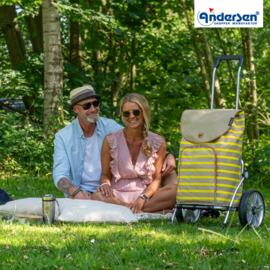 Boodschappenwagen met grote wielen met kogellagers, Royal Shopper Eske geel