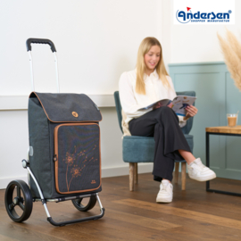 Boodschappenwagen met 4 wielen, ook om te duwen, Quattro Shopper Erbo Zwart