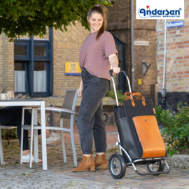 Boodschappenwagen met grote wielen met metalen spaken, Royal Shopper Charu bruin