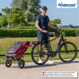 Boodschappenwagen met grote luchtbanden en spatborden, Royal Shopper Plus Fado 2.1 rood