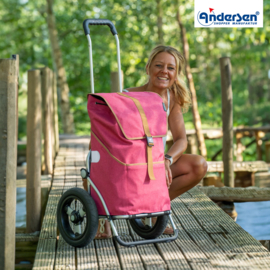 Boodschappenwagen met extra grote luchtbanden van 29 cm, Royal Shopper Auke Rubin