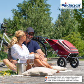 Boodschappenwagen met luchtbanden, Royal Shopper Hydro 2.1 rood