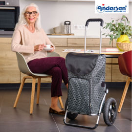 Boodschappenwagen met extra grote luchtbanden van 29 cm, Royal Shopper Famke zwart