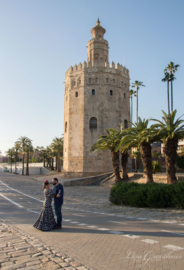 GOUDEN TOREN Aedes Ars