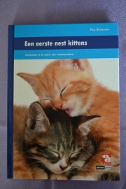 OD een eerste nest kittens