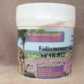 Foliumzuur en vit B12 100 tabletten