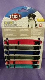 Puppy ID bandjes verstelbaar 6 stuks M / L