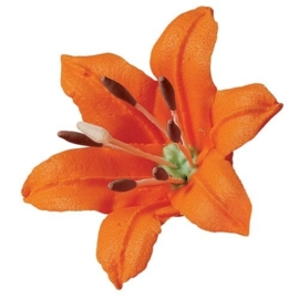 Wilton Lily Stamen Assortment pk/150