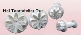 Daisy Marguerite plunger cutter Set/4