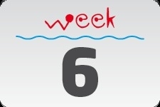 4 - week 6 / 8 februari - 15 februari