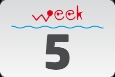 4 - week 5 / 1 februari - 8 februari 