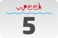 1 - week 5 / 1 februari - 8 februari 