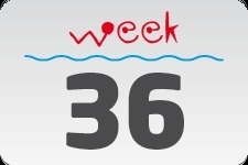 4 - week 36 / 7 september - 14 september