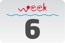 1 - week 6 / 8 februari - 15 februari