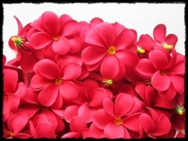 XL-bloem - `Hawaï` - rood zijde - 7 cm.