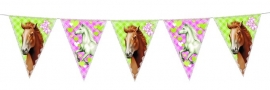 Paarden feestartikelen - slinger/ vlaggenlijn