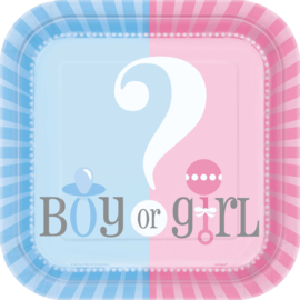 Boy or Girl? Gender Reveal feestartikelen - bordjes (10st)