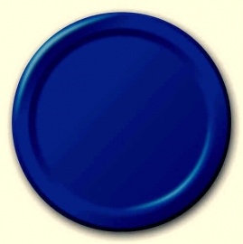 Effen kleur feestartikelen Blauw borden (16st)