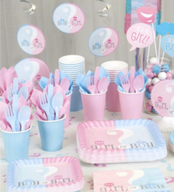 Boy or Girl? Gender Reveal feestartikelen - Hangdecoratie (3st)