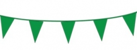 Vlagslinger/ vlaggenlijn groen (10m)
