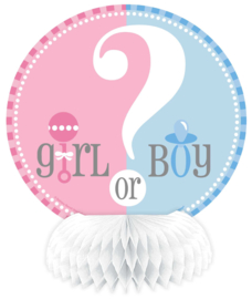Boy or Girl? Gender Reveal feestartikelen - Honeycombs (4st)