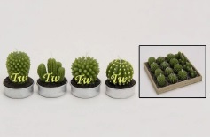 Theelicht/Waxinelicht Cactus in houten kistje