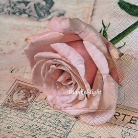 Servetten Postcard Rose