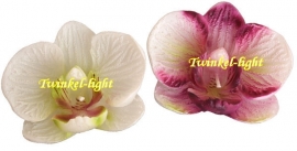 Drijfkaars Orchidee in 2 kleuren