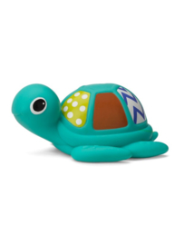 Jumbo Sea - Squirt Turtle