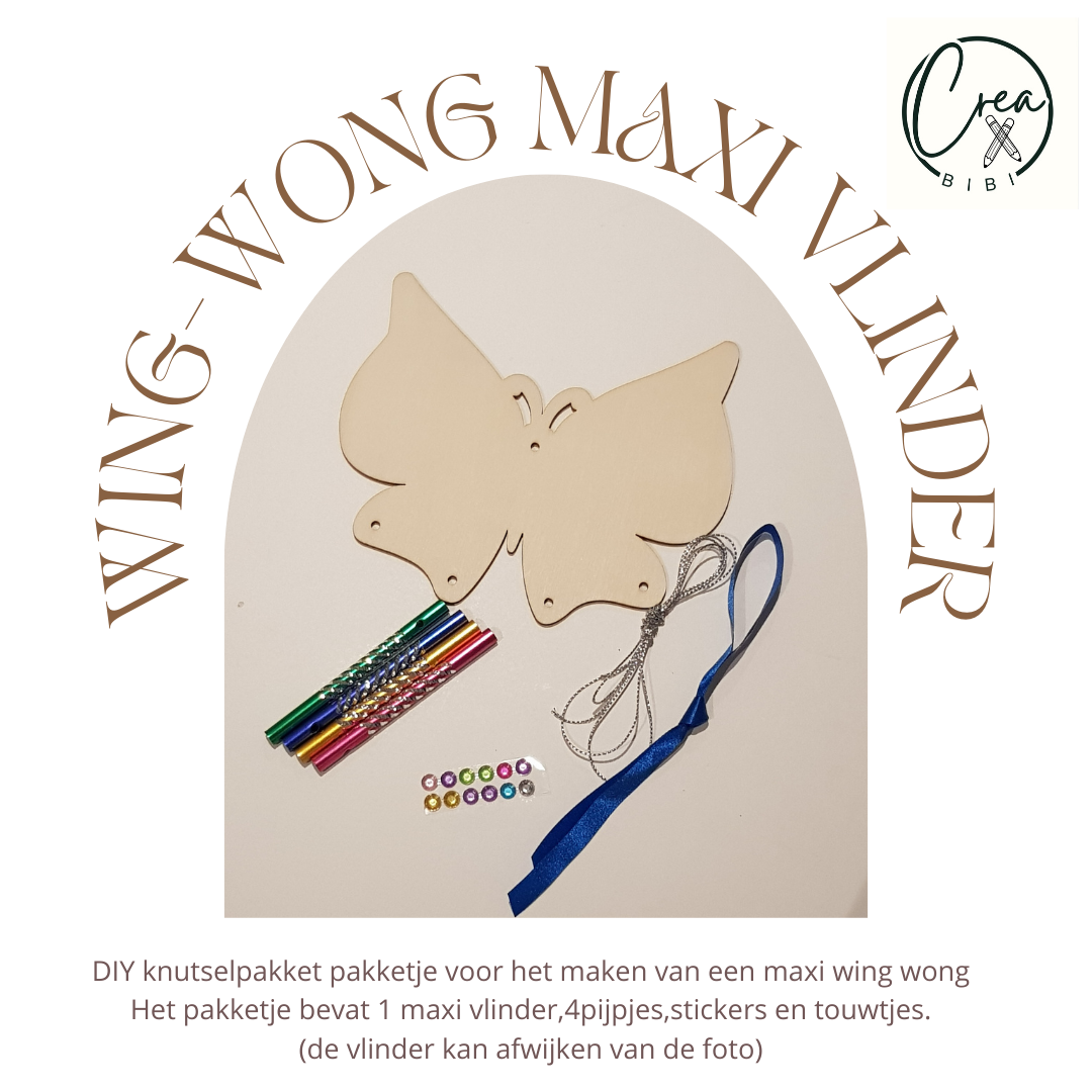 Knutselpakketje wing wong maxi vlinder (40)