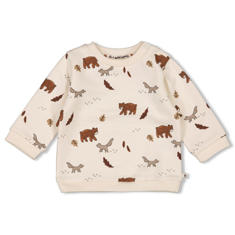 Sweater 'wild world'
