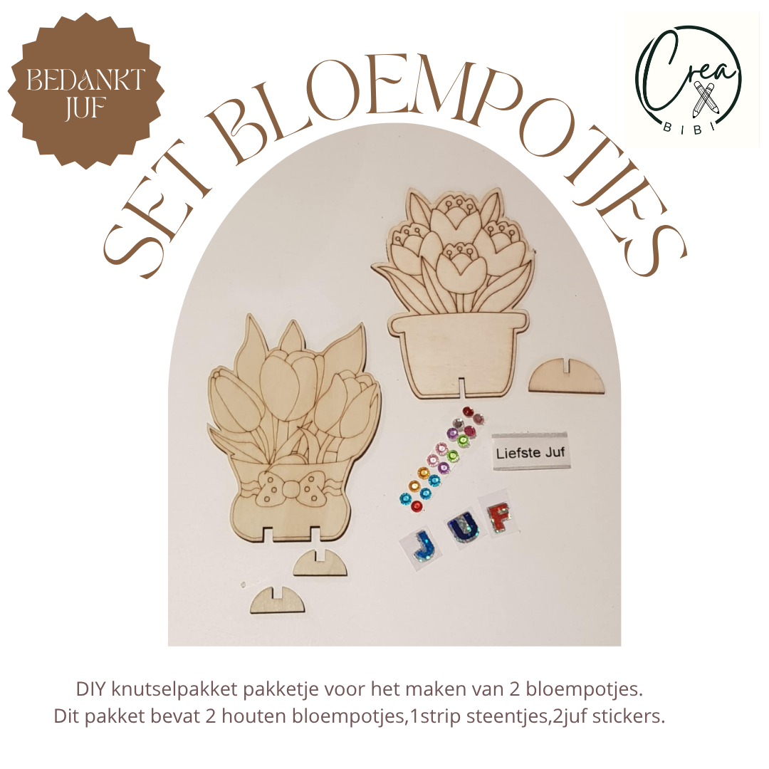 Knutselpakketje bloempotjes juf (J1)
