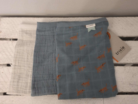 529/530 Tetrawashandjes Trixie