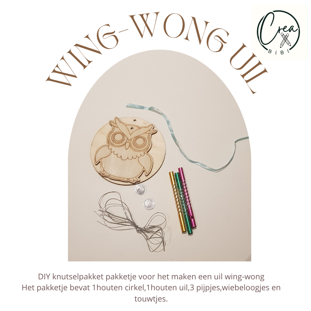 Knutselpakketje wing wong uil (48)