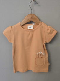 329. T-shirt Feetje