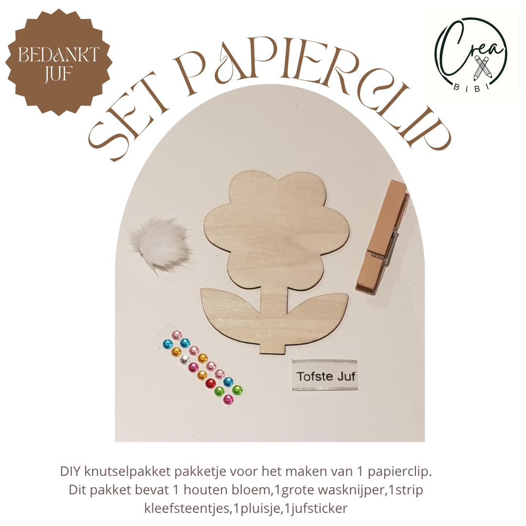 Knutselpakketje papierclip juf (J3)