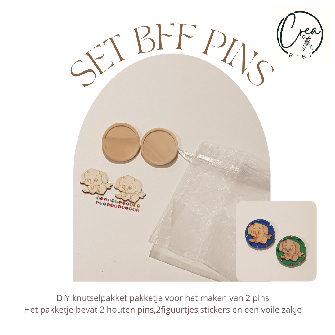 Knutselpakketje BFF pins (52)